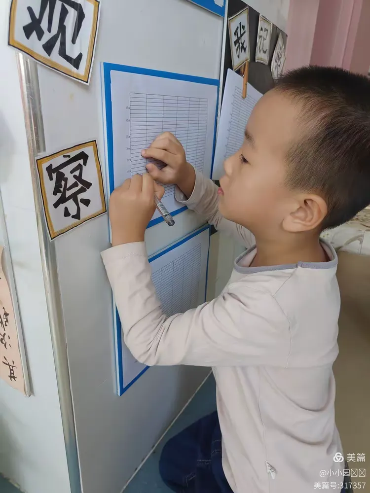 观察